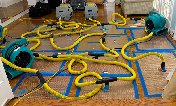 Professional Burst Pipe Water Damage technician working in Milligan College, TN